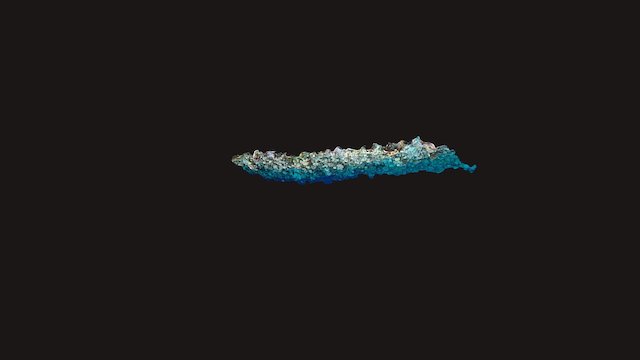 Maldives coral survey Simplified 3d Mesh 3D Model