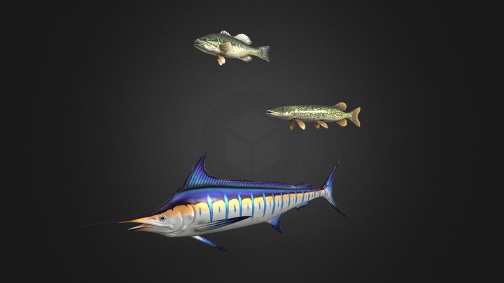 Stylized Fish 3D Model