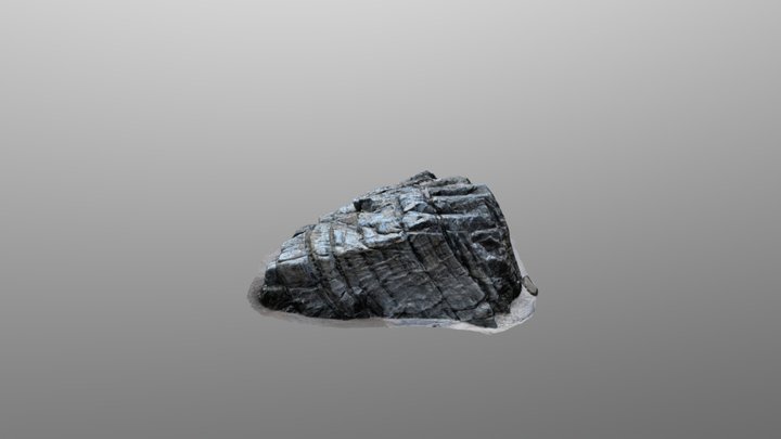 Photogrammetry Beach Rock 3D Model