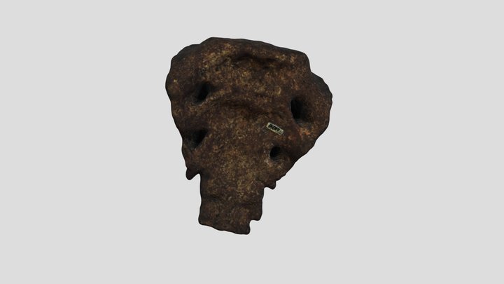 FOSSIL_09_F028231_286K 3D Model