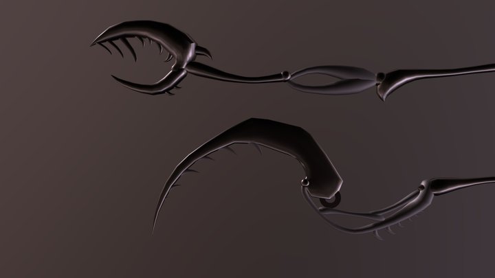 Cyn/absolute solver eldritch limbs 3D Model
