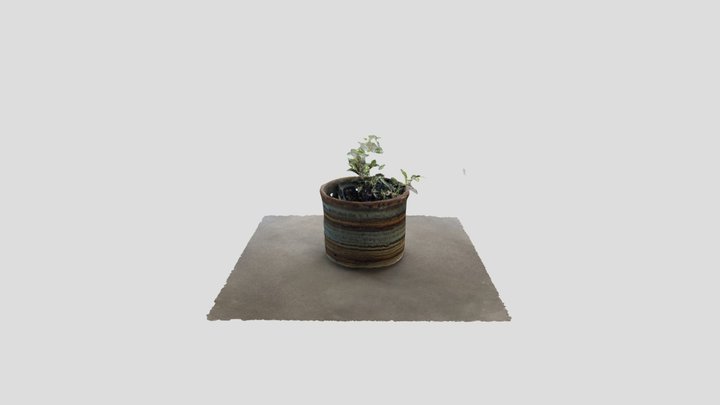 Plant 2 3D Model
