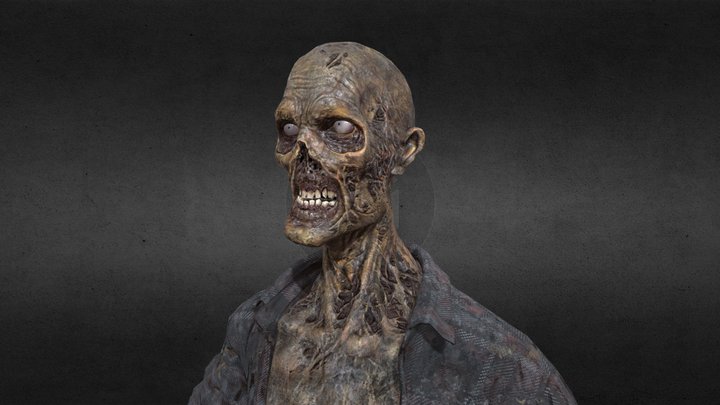 Decayed Zombie D 3D Model