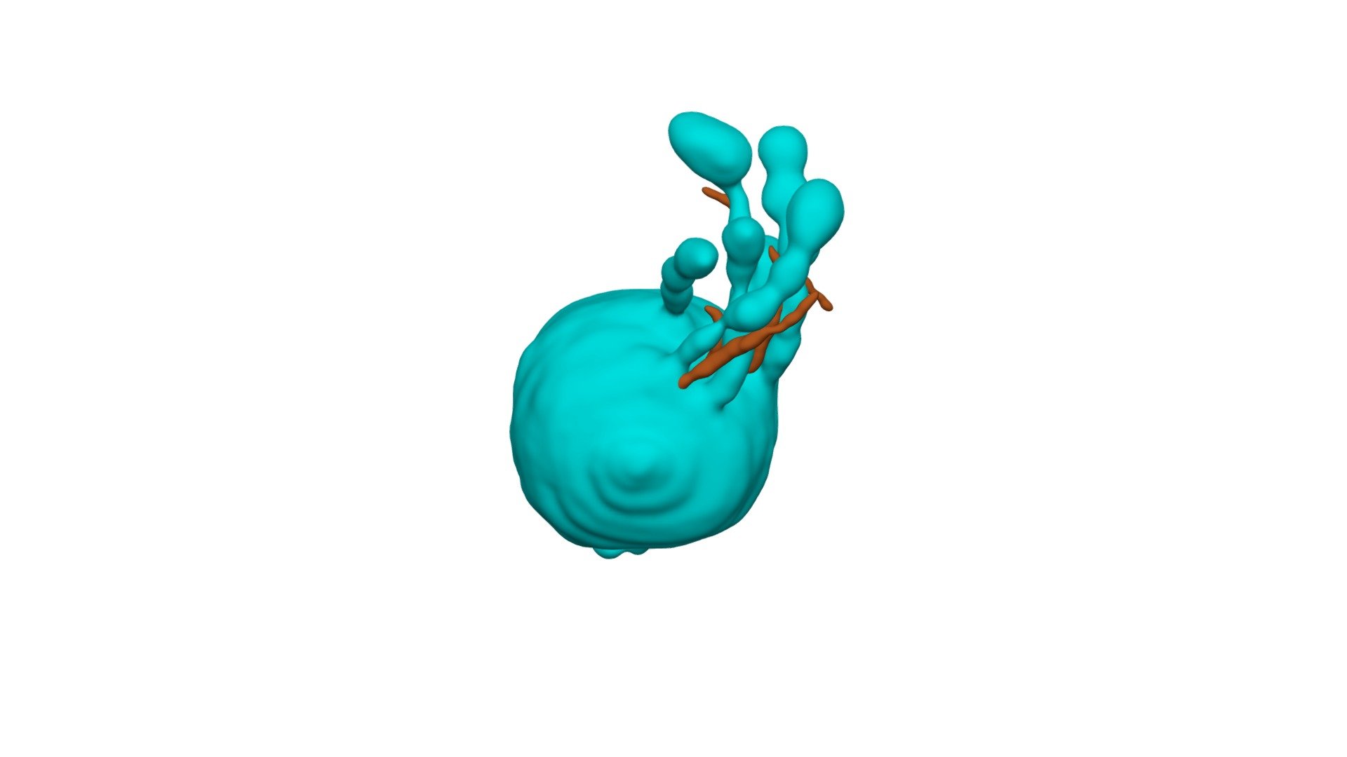 Endosome 3D model by tklab [d8924a7] Sketchfab