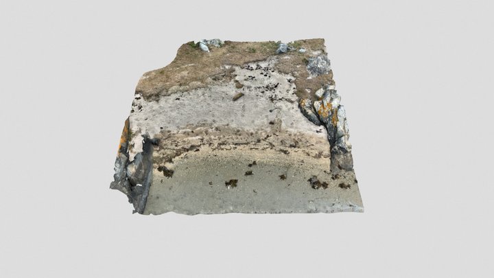 Nordic beach segment 3D Model
