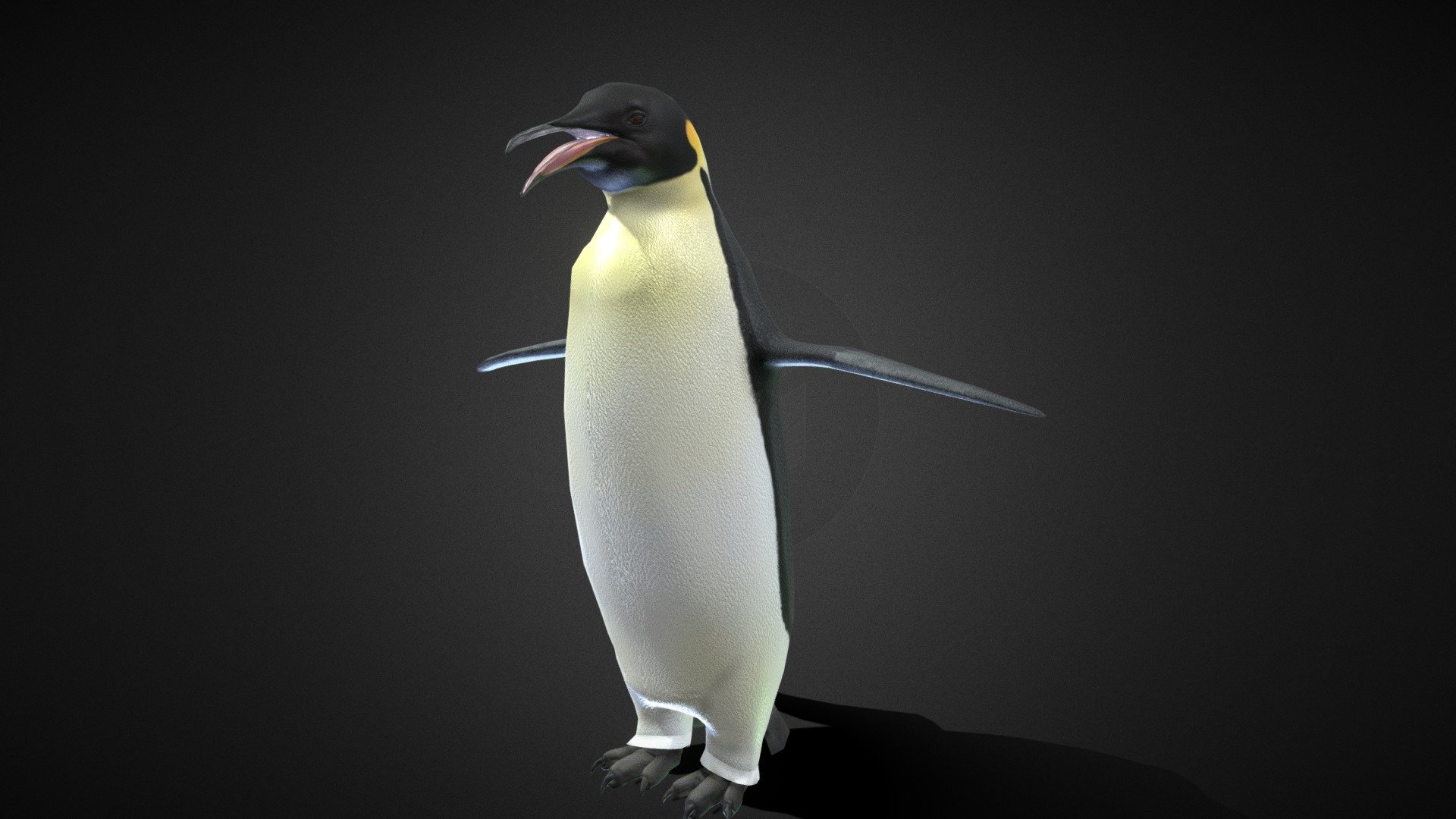 Emperor penguin (Aptenodytes forsteri) - 3D model by Major (@majorgalah ...