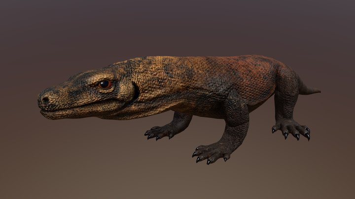 Komodo Dragon 3D Model