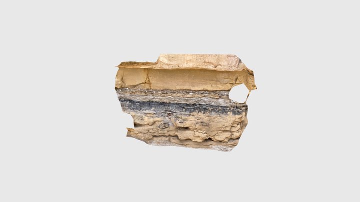 Thompson coal 3D Model