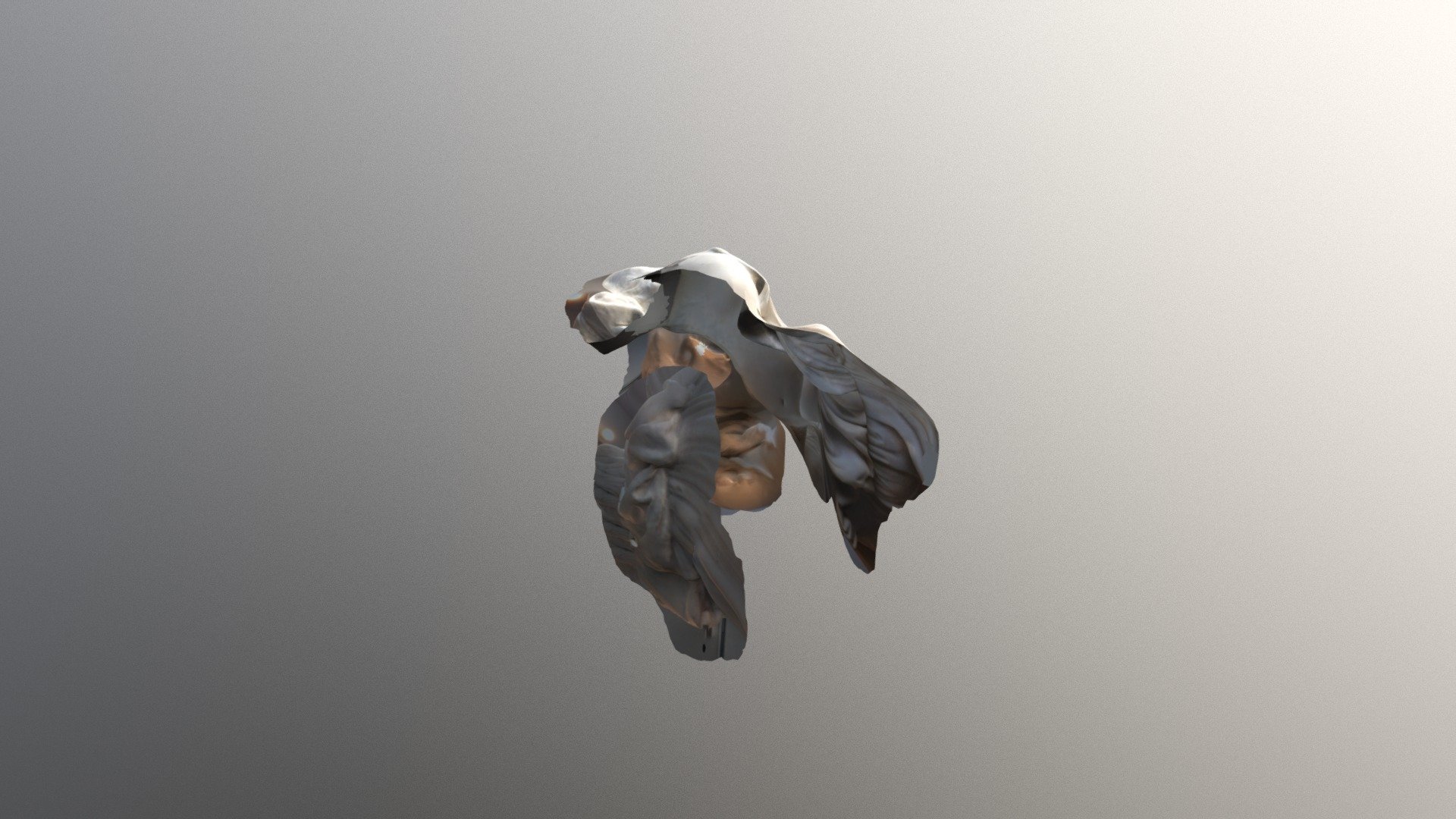 A face