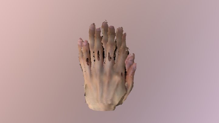 f 3D Model