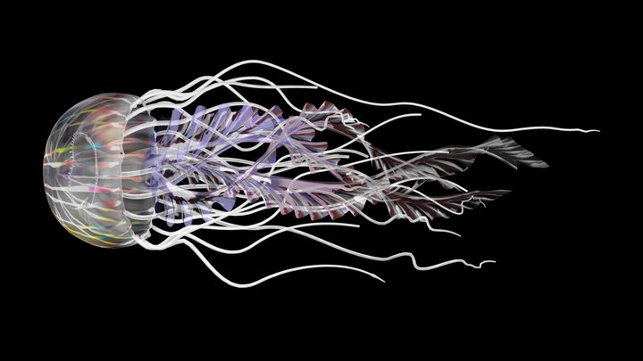 Jellyfish_001 3D Model
