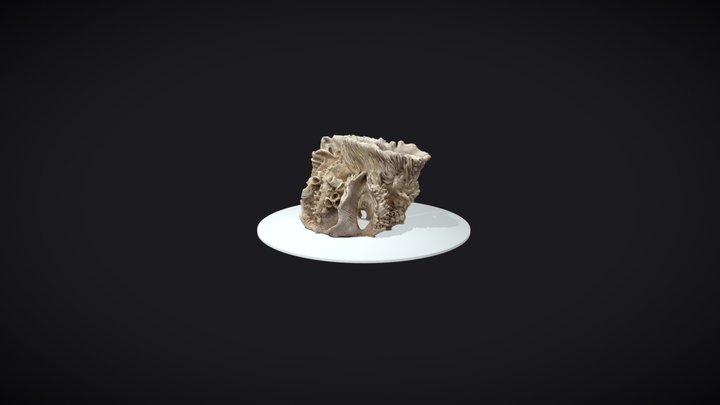 Sculpt 2 3D Model