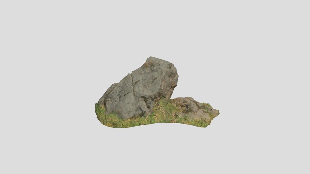 Rock Mounain Meadow Pbr Scan 05