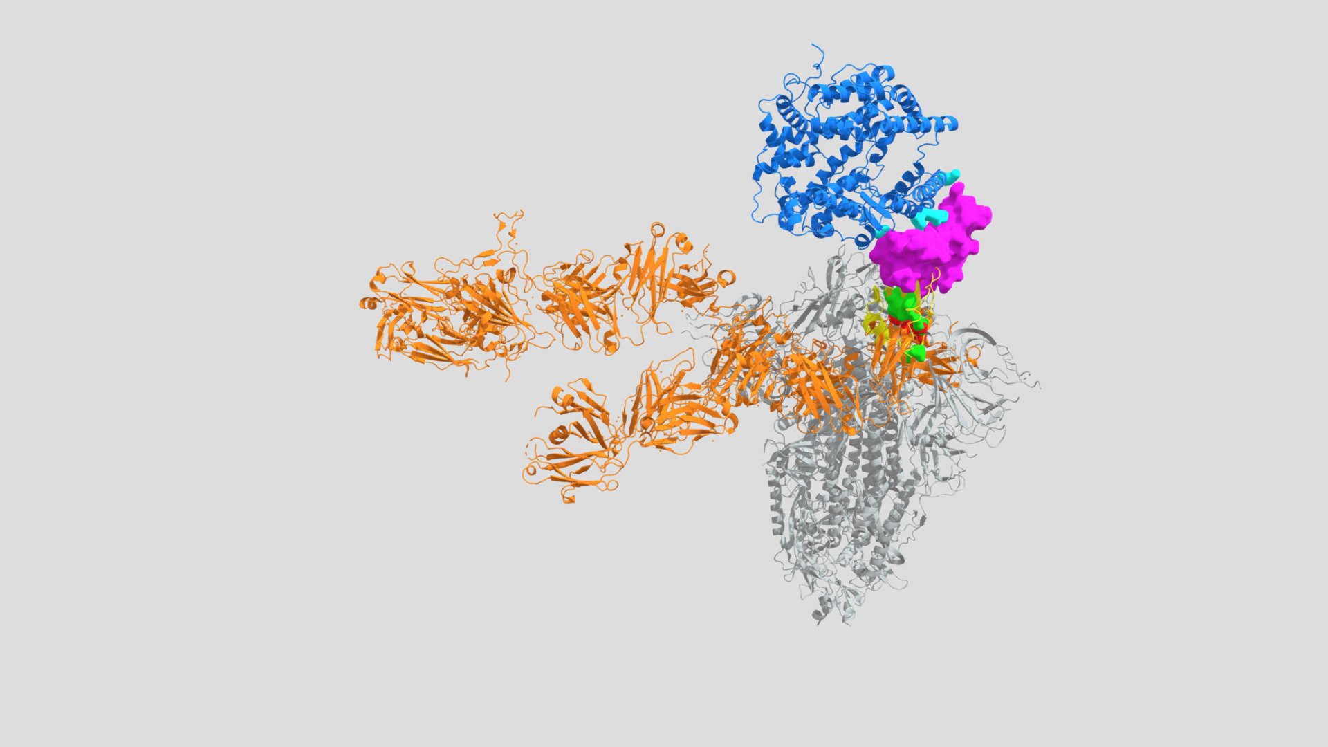 Spike-2SH97-Antibody