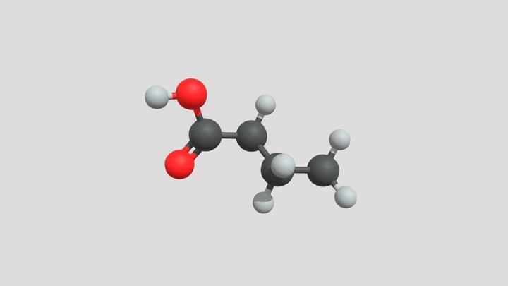 Butanoic Acid 3D Model