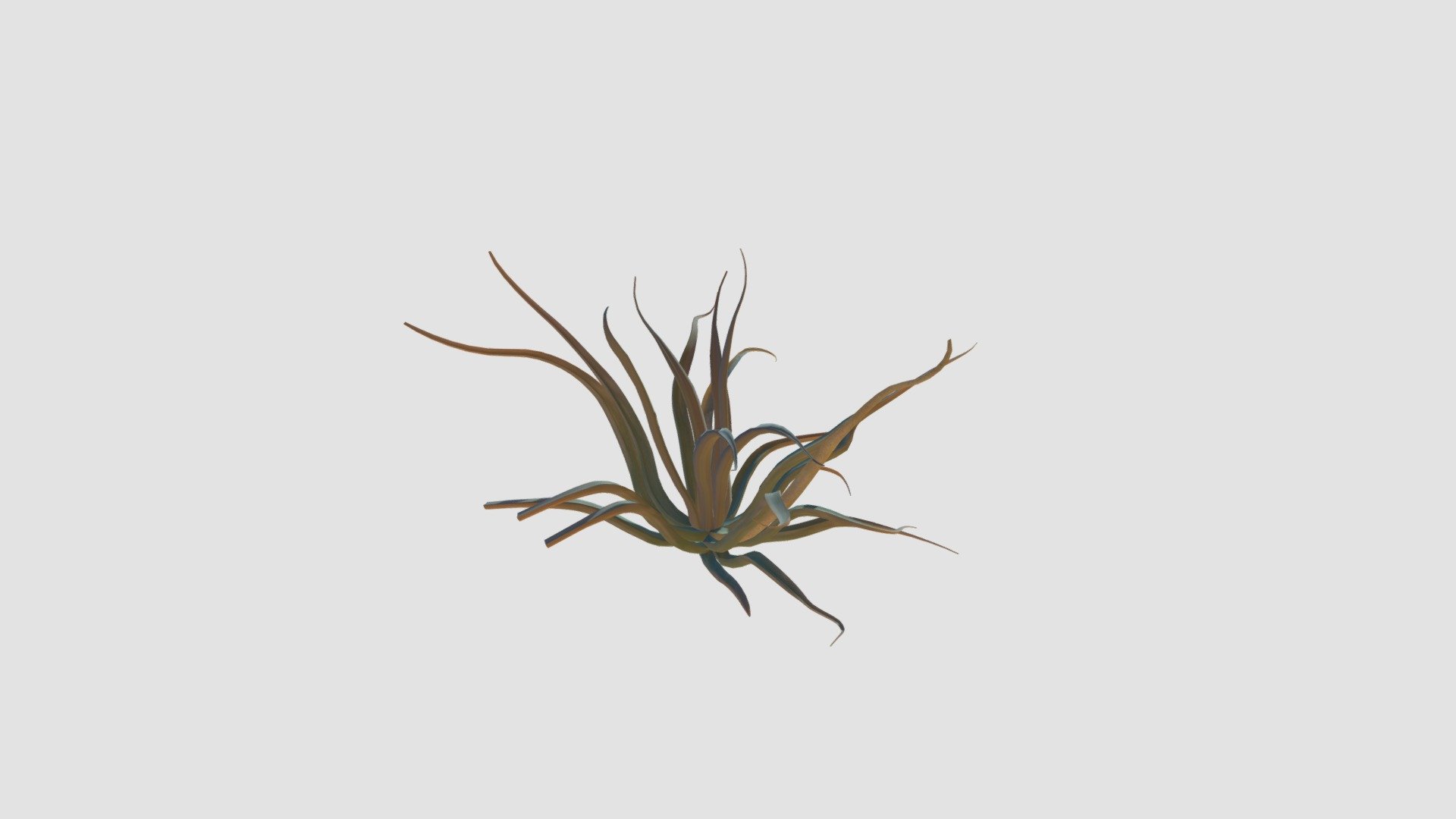 Agave vilmoriniana Plant - Buy Royalty Free 3D model by Evermotion ...