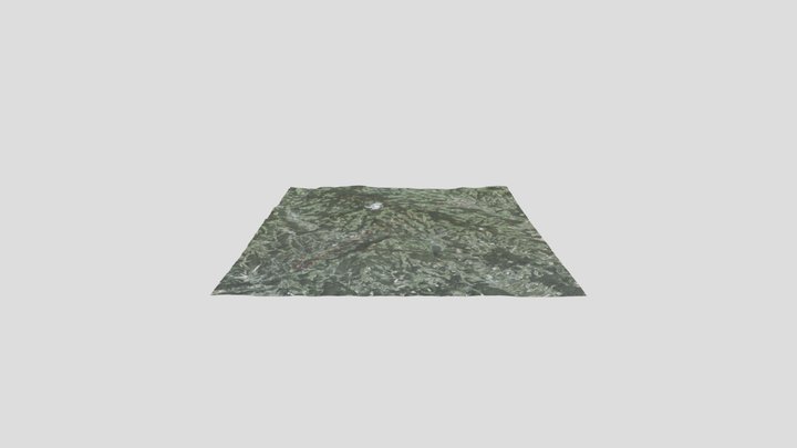 Apfelmontgolfiade 2019, Puch/Weiz - Austria 3D Model