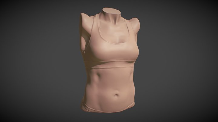 Sculpt January 2018 - 29 Female - Torso 3D Model