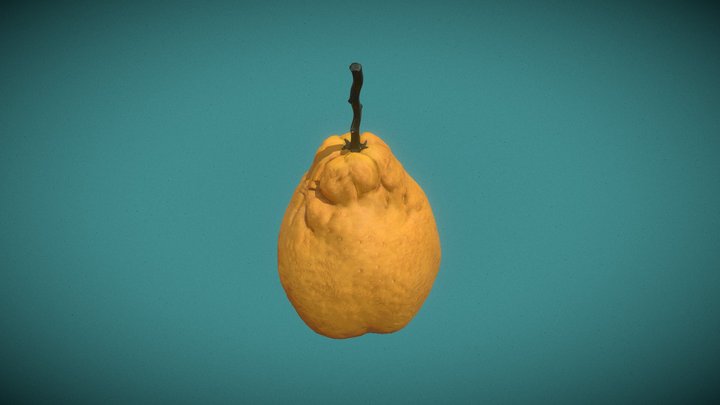 丑橘 3D Model