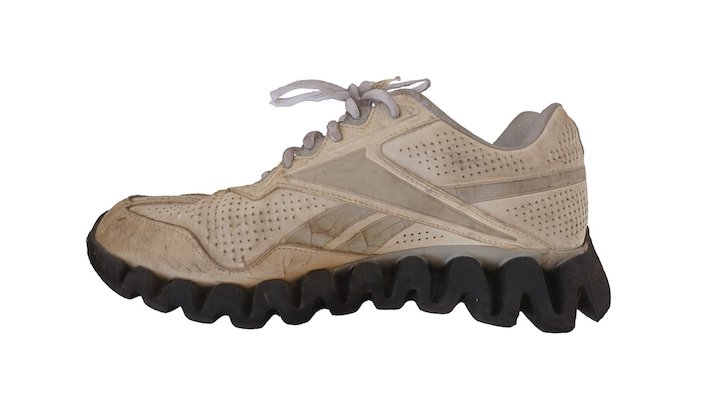 Rebook Zig photogrammetry 3D Model