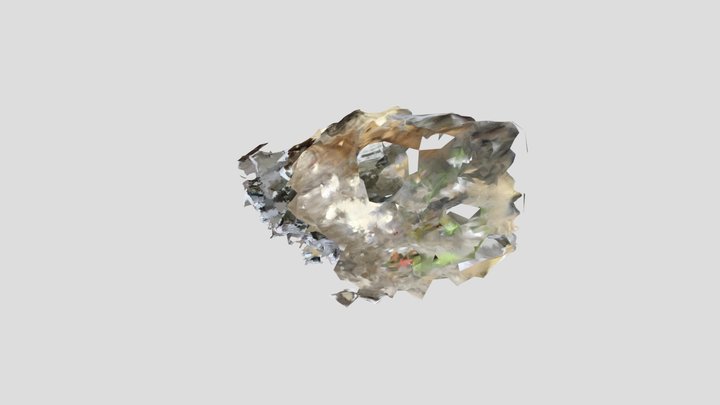 Benim müthiş Fotoğraflardan 3D model 3D Model