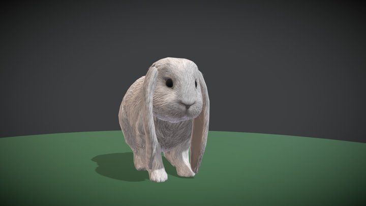 Bunny 3D model with Animation 3D Model