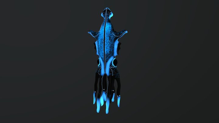 Poulpy 3D Model
