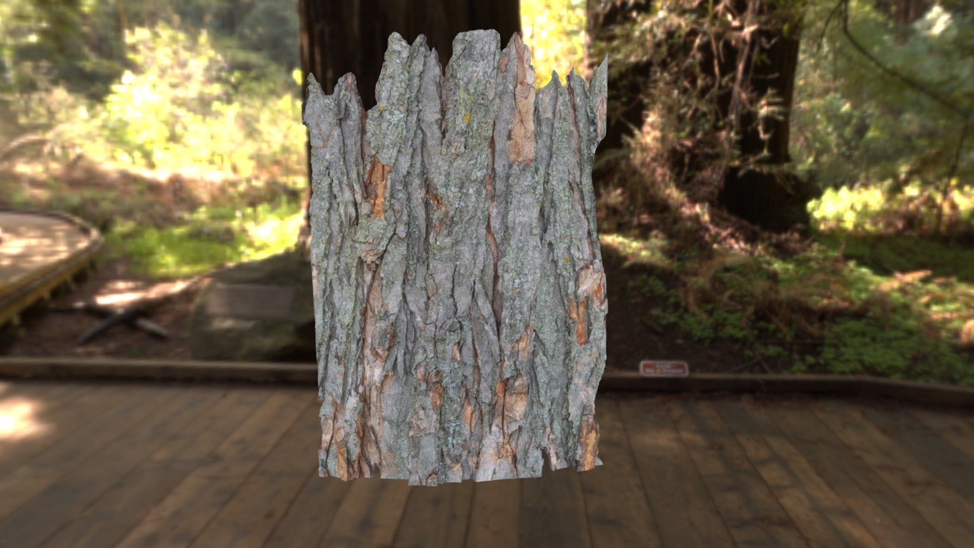 Tree bark photogrametry HD - Download Free 3D model by jonathan ...
