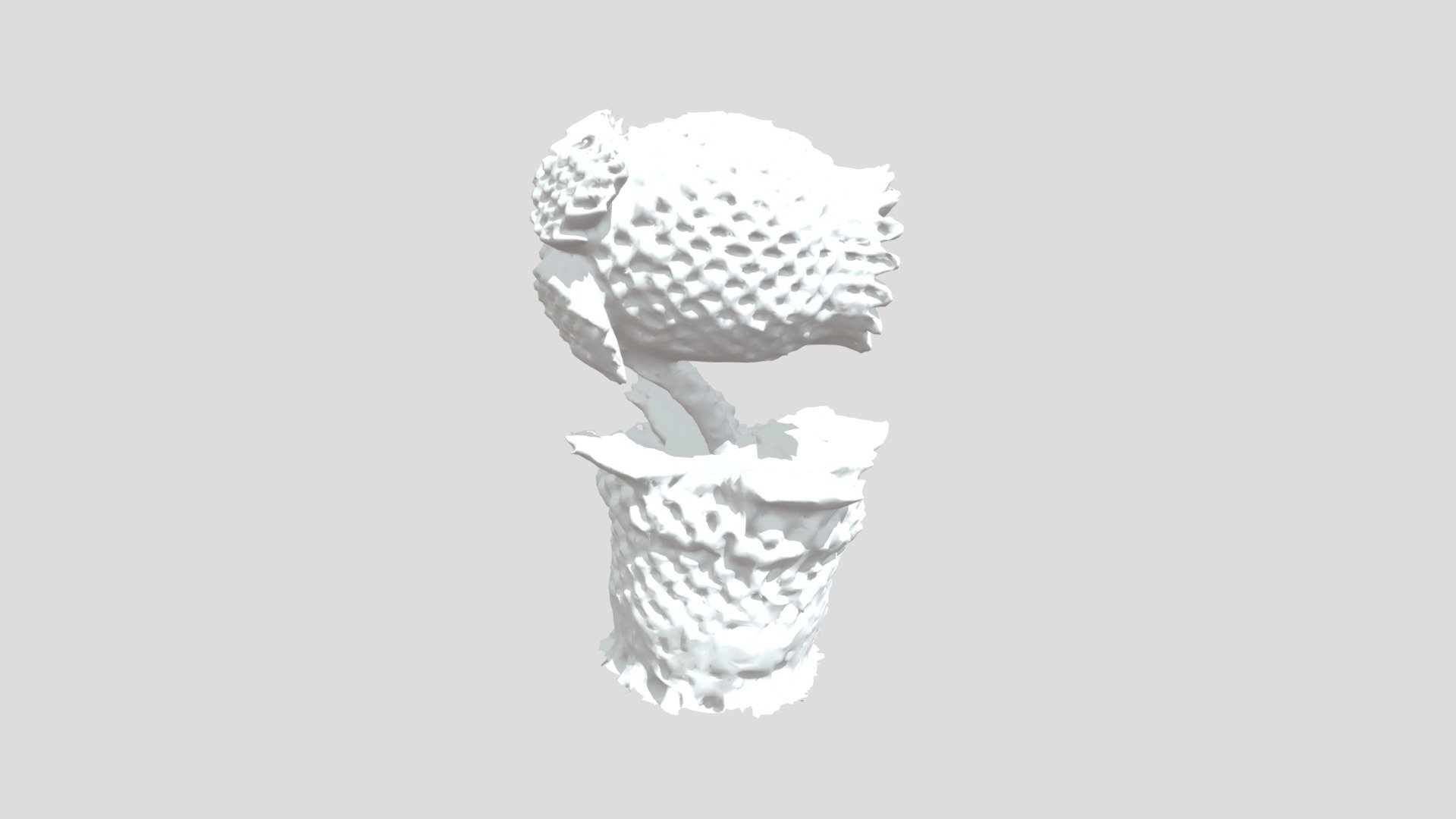 Origami
