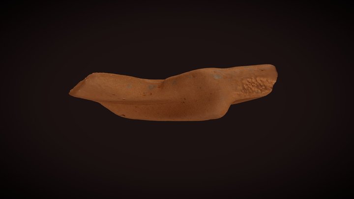 Terra Sigillata (fondo) 3D Model
