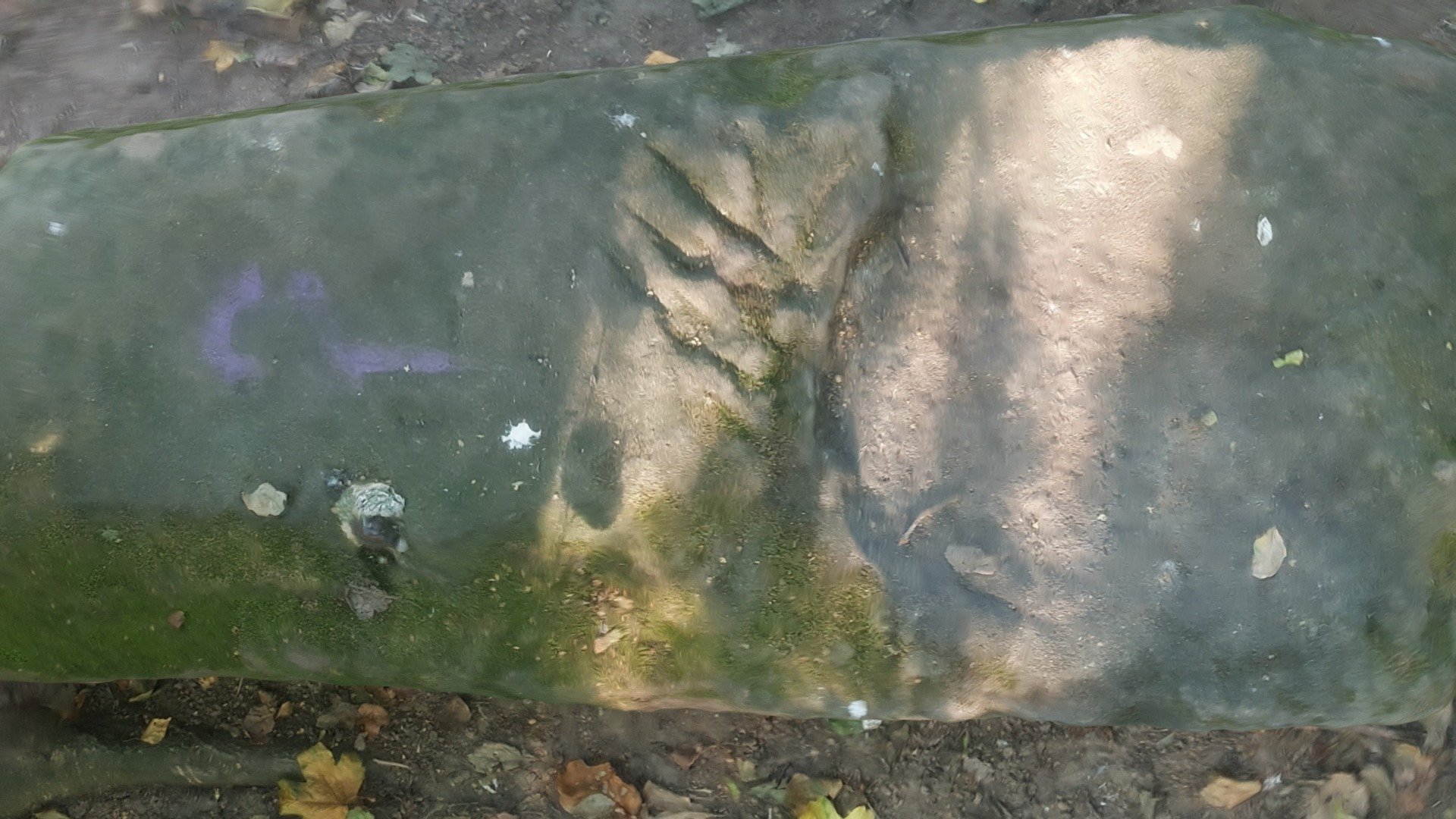 Gilroy Stone