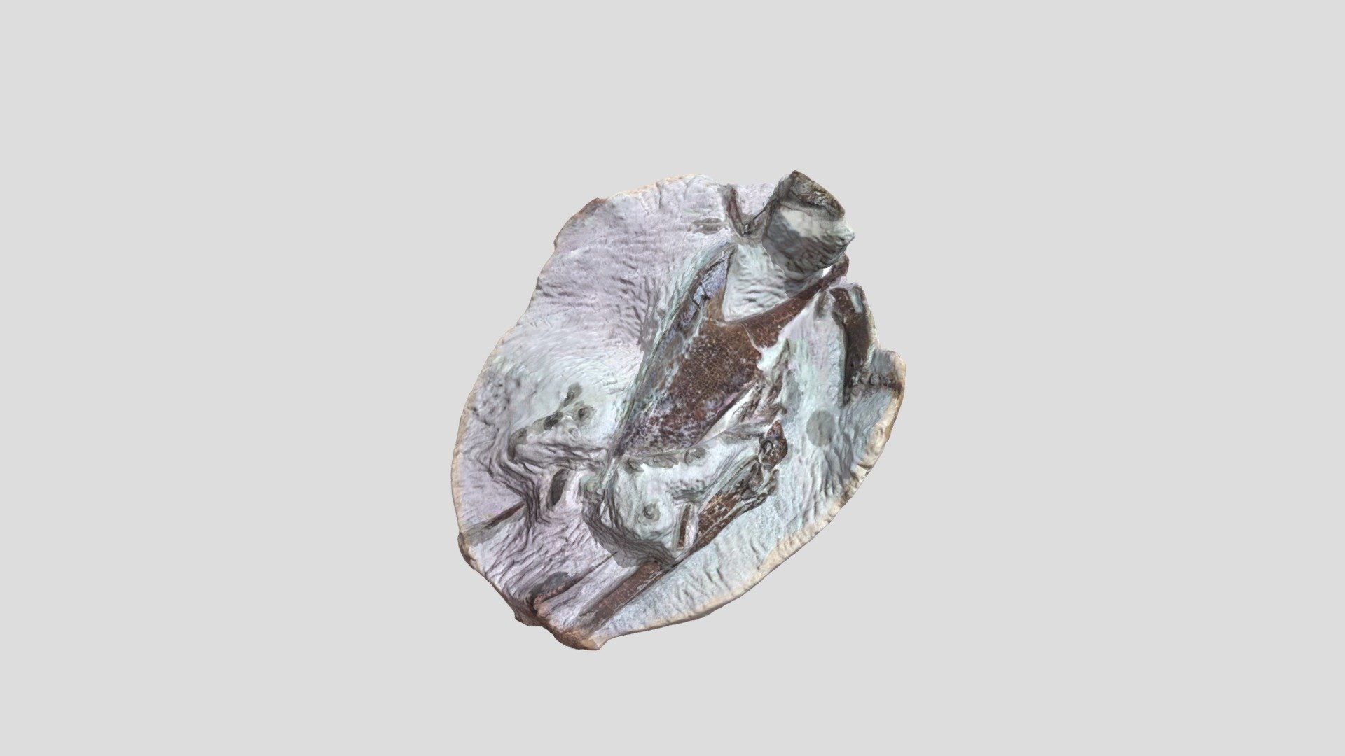 Fossil Penguin prep progress — Sketchfab embed 3D viewer