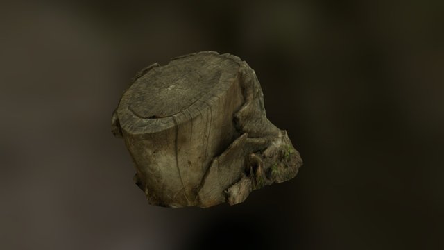 Strump 02 3D Model