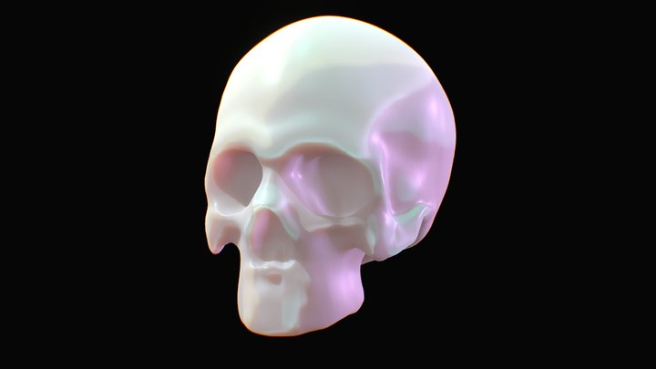 Skull 3D Model