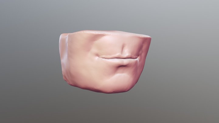 Lips 3D Model
