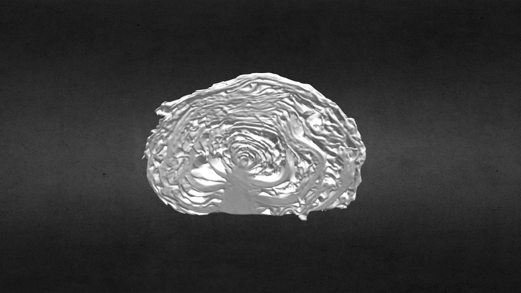 022/365_Cabbage