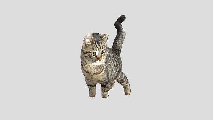 Cat 3D Model