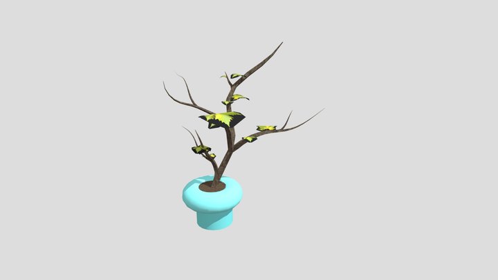 Wk8b _Plant_YICHENDAI 3D Model