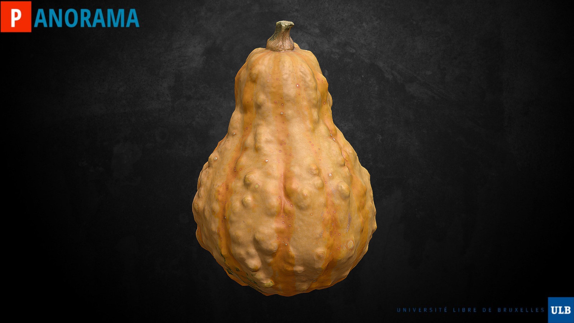 3D model Cucurbitacée #4 - This is a 3D model of the Cucurbitacée #4. The 3D model is about a yellow and brown vegetable.
