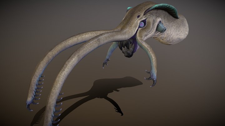 The Squib 3D Model