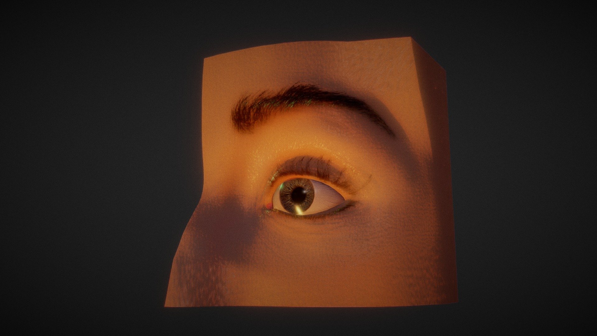 Eye sculpt - 3D model by shashi.atin [d8da94a] - Sketchfab