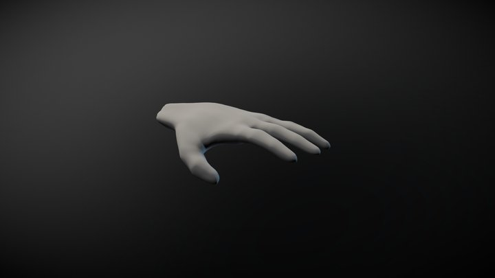 Animation d'une main personnalisée 3D Model