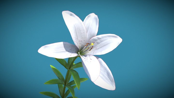 Animated flowers - A 3D model collection by Zacxophone - Sketchfab