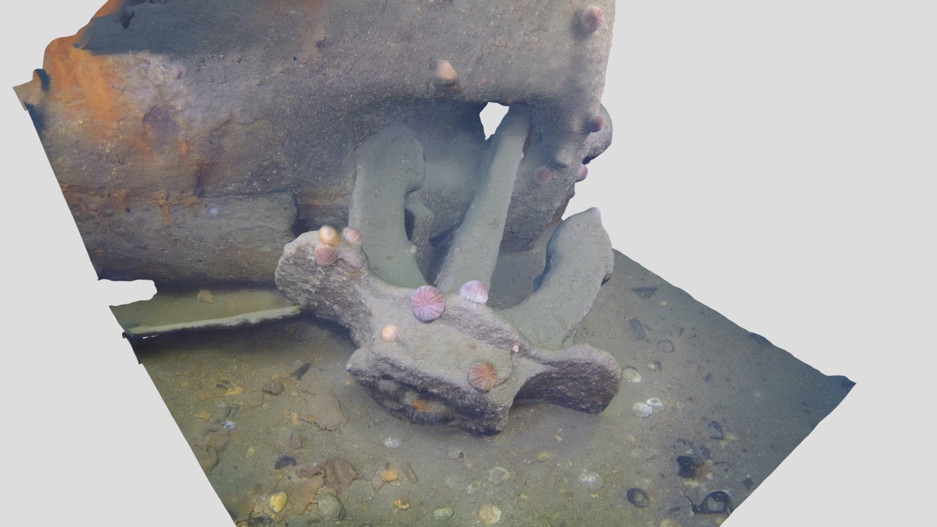 Coln Anchor