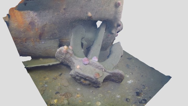 Coln Anchor 3D Model