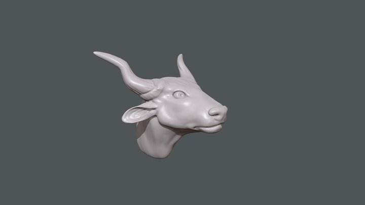 High Poly Bull Head - No Reference 3D Model
