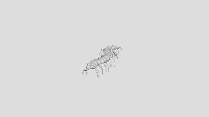 Scolopendre 3D Model