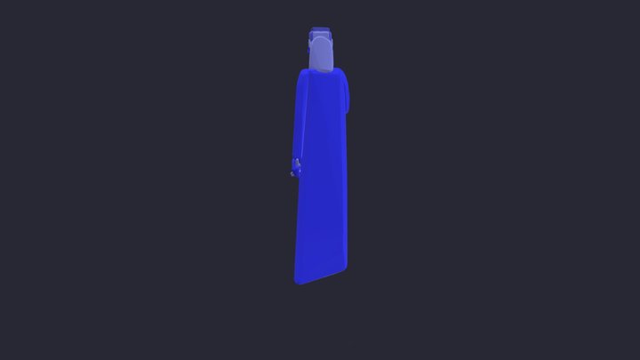 Project 3D Model