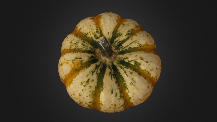 Autumn Pumpkin 3D Model