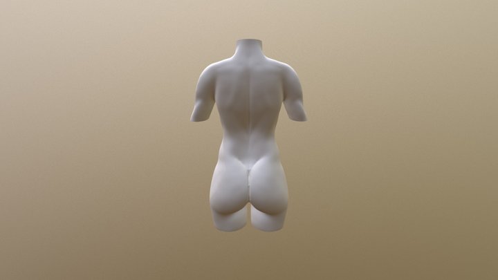 Torso Feminino Básico 3D Model